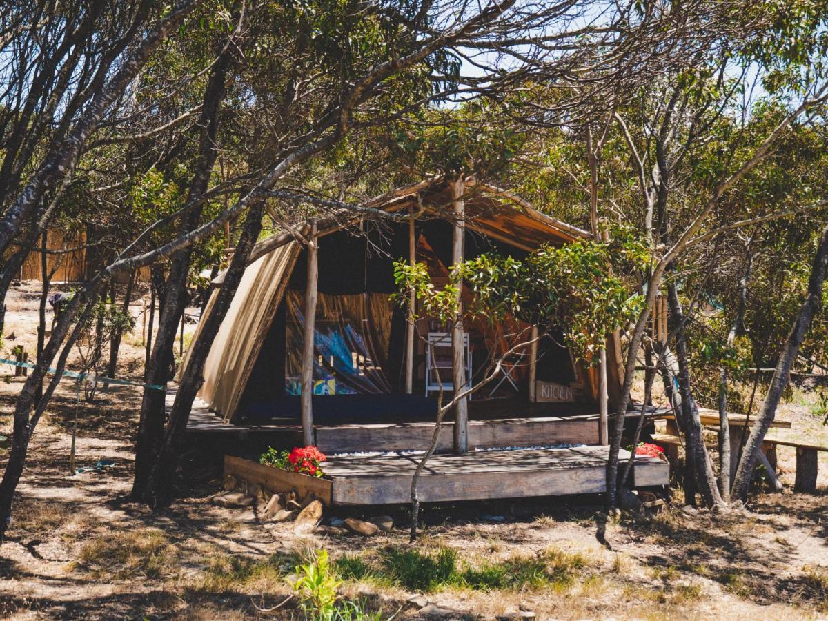 Soul Farm Algarve - Glamping & Farm Houses ألخيزور المظهر الخارجي الصورة