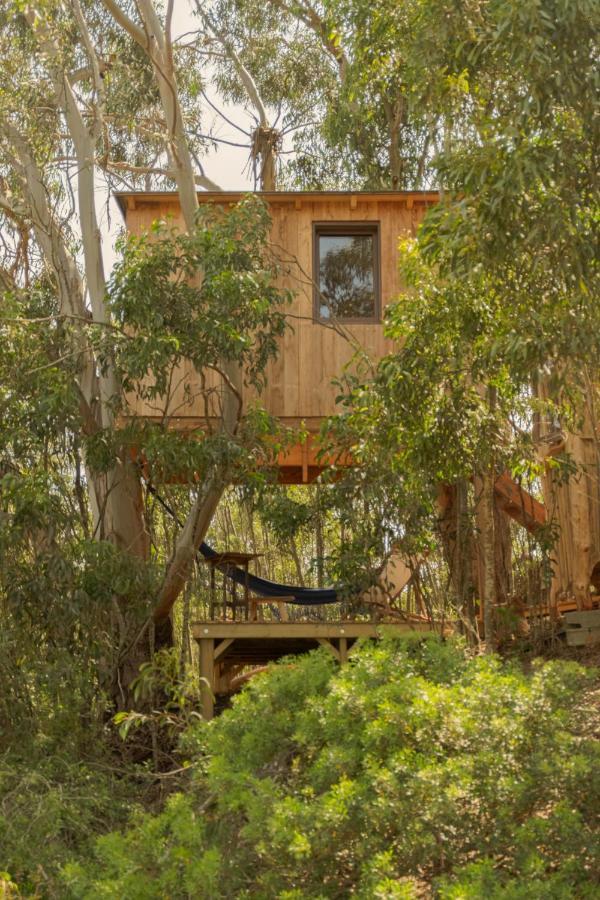 Soul Farm Algarve - Glamping & Farm Houses ألخيزور المظهر الخارجي الصورة