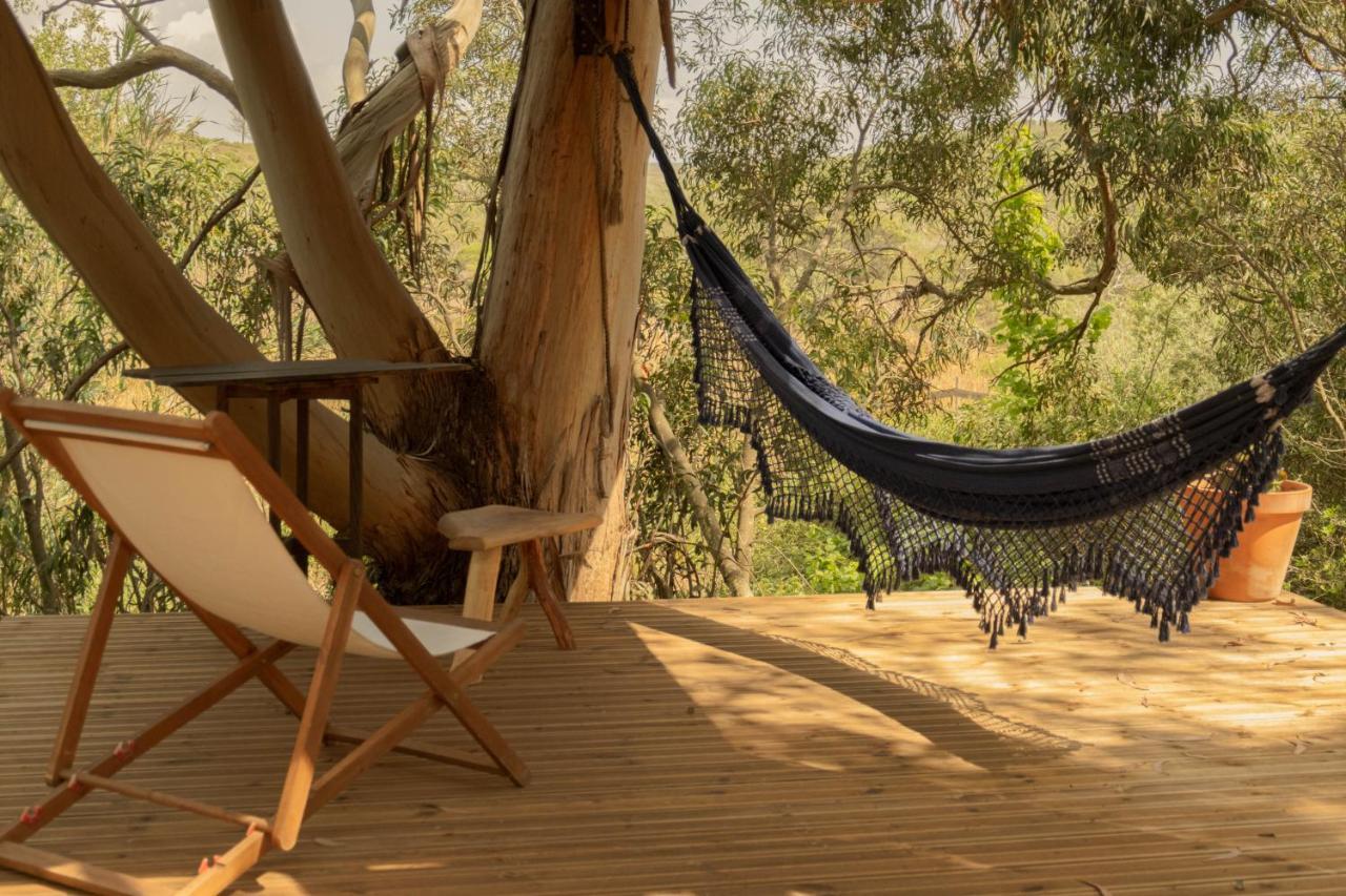 Soul Farm Algarve - Glamping & Farm Houses ألخيزور المظهر الخارجي الصورة