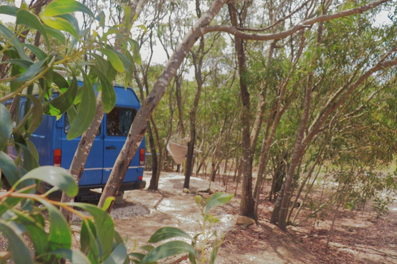 Soul Farm Algarve - Glamping & Farm Houses ألخيزور المظهر الخارجي الصورة