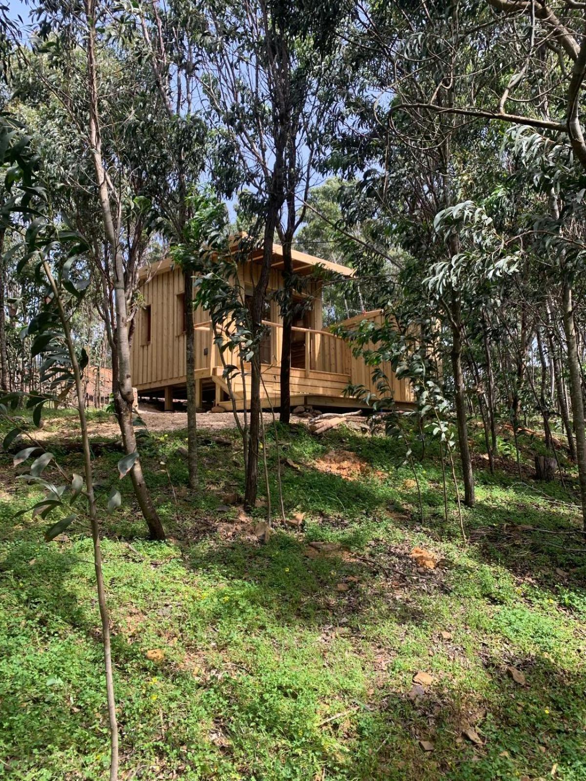 Soul Farm Algarve - Glamping & Farm Houses ألخيزور المظهر الخارجي الصورة